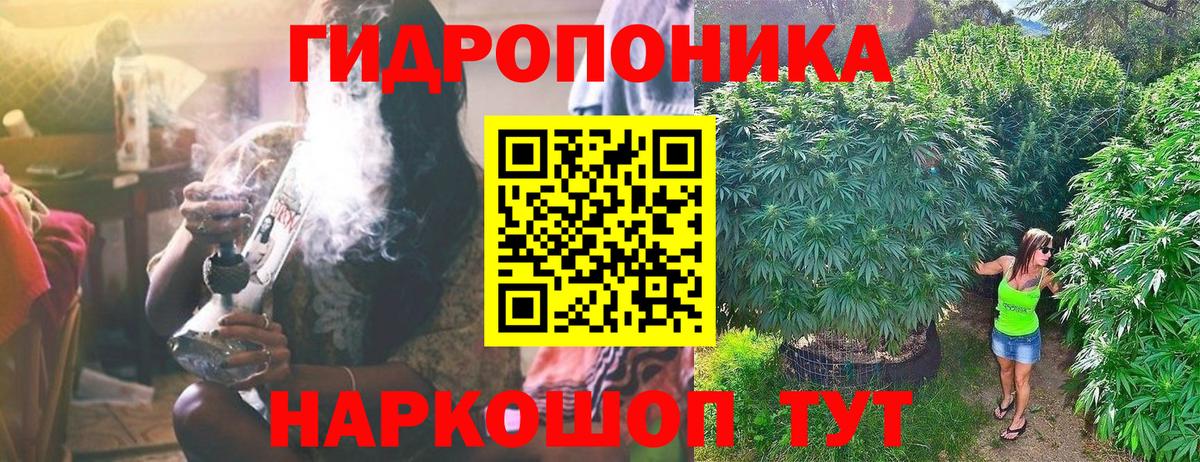 Бошки Шишки сатива  Бошки Шишки SATIVA & INDICA  Бошки Шишки семена  Вход с VPN  Каннабис семена  Ачинск 